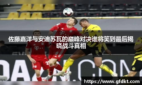 佐藤嘉洋与安迪苏瓦的巅峰对决谁将笑到最后揭晓战斗真相